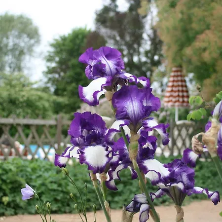 Logis Les Loges Du Parc Hotel