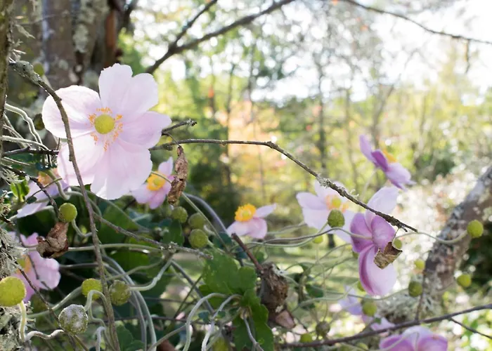Hotel Logis Les Loges Du Parc La Roche-Posay