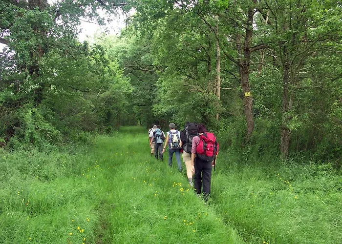 Logis Les Loges Du Parc La Roche-Posay