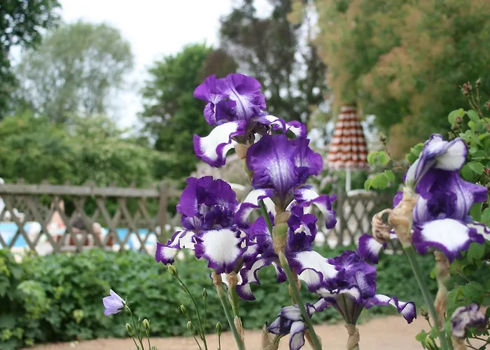 Logis Les Loges Du Parc Hotel